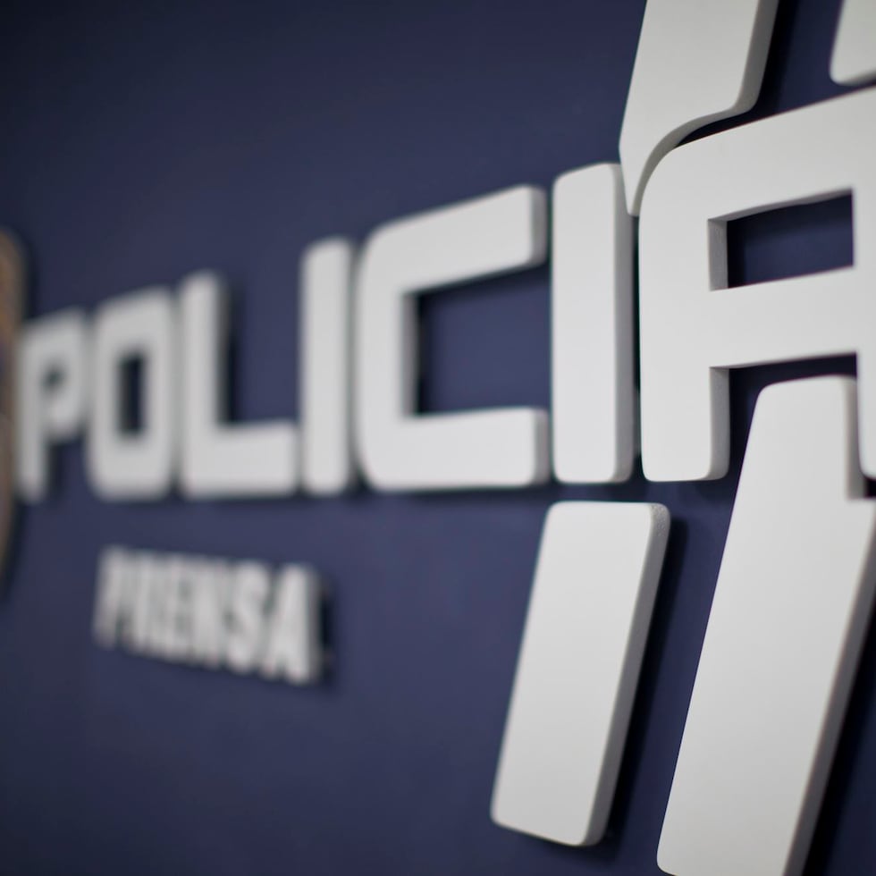 En lo que va de año han ocurrido 29 asesinatos. (GFR Media)