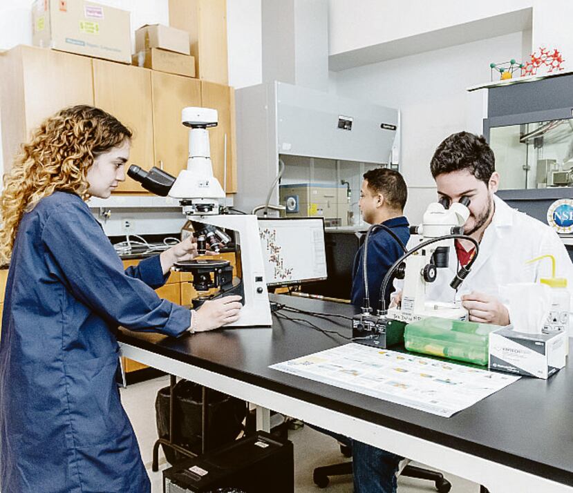 La Facilidad de Difracción de Rayos X se estudia la estructura química de los sólidos cristalinos.