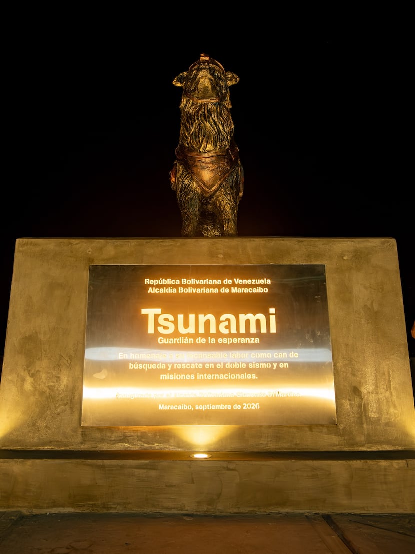 Tsunami fue recibido como un héroe el día en que se inauguró la estatua.