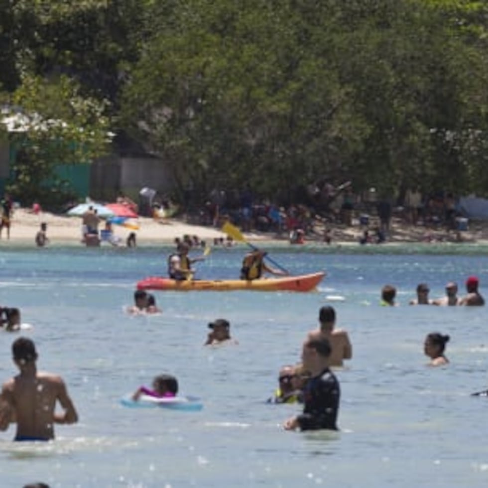 The man reportedly died after being struck in the head following a jump from a boat.