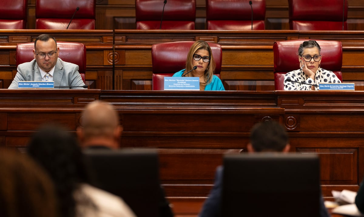Advierten que medida para redefinir la zona marítimo terrestre afectaría la protección ambiental y el acceso a las playas