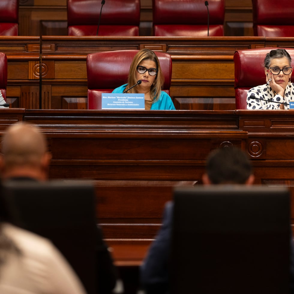 Solo cuatro senadores asistieron a la vista pública: Héctor Joaquín Sánchez, Marissa Jiménez Santoni, María de Lourdes Santiago y Eliezer Molina.