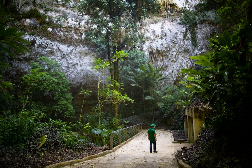 El horario del Parque Nacional de las Cavernas del río Camuy es de miércoles a domingo de 8:00 a.m. a 4:30 p.m.