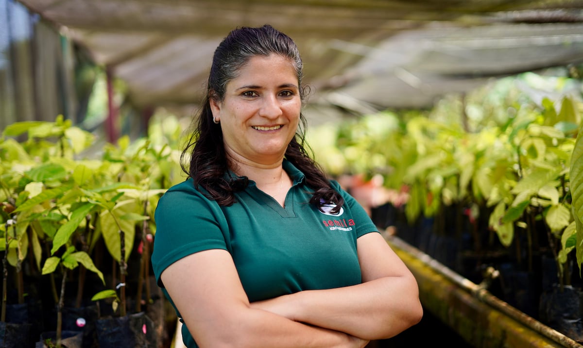 Semila: de proyecto agroforestal a una de las productoras de chocolate más importantes de PR