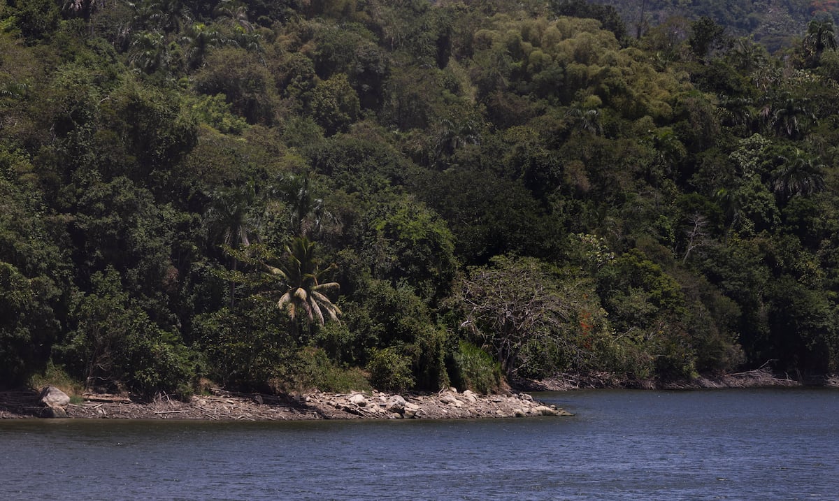 Agricultura federal amplía a más municipios la declaración de desastre por sequía en Puerto Rico