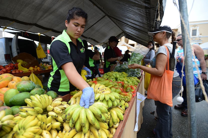 La Asociación de Agricultores de Puerto Rico solicitó al gobierno la reapertura de los Mercados Familiares, plataforma donde los agricultores locales venden sus cosechas.
