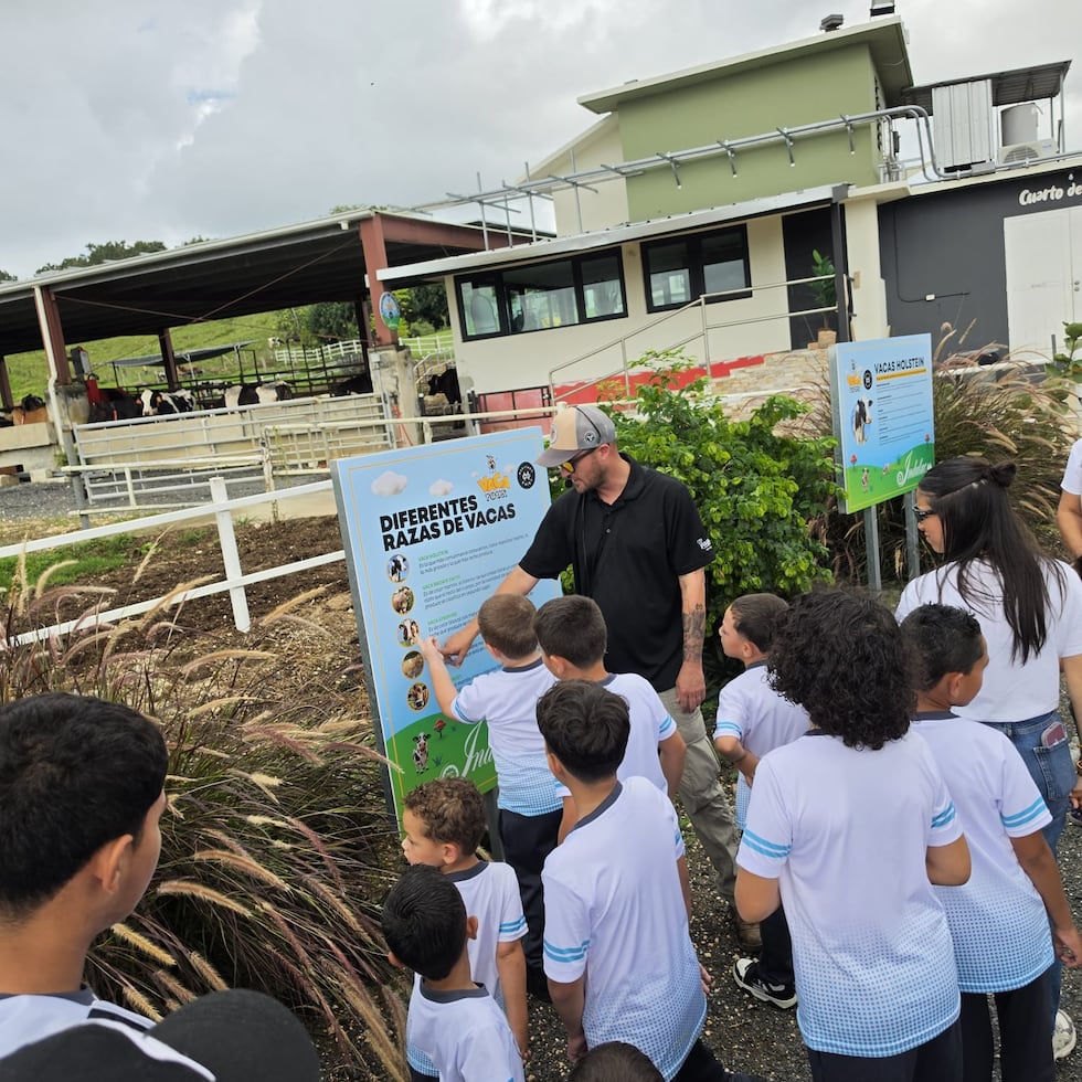 En Vega Baja, Martínez Dairy ofrece recorridos guiados por la vaquería a grupos escolares.