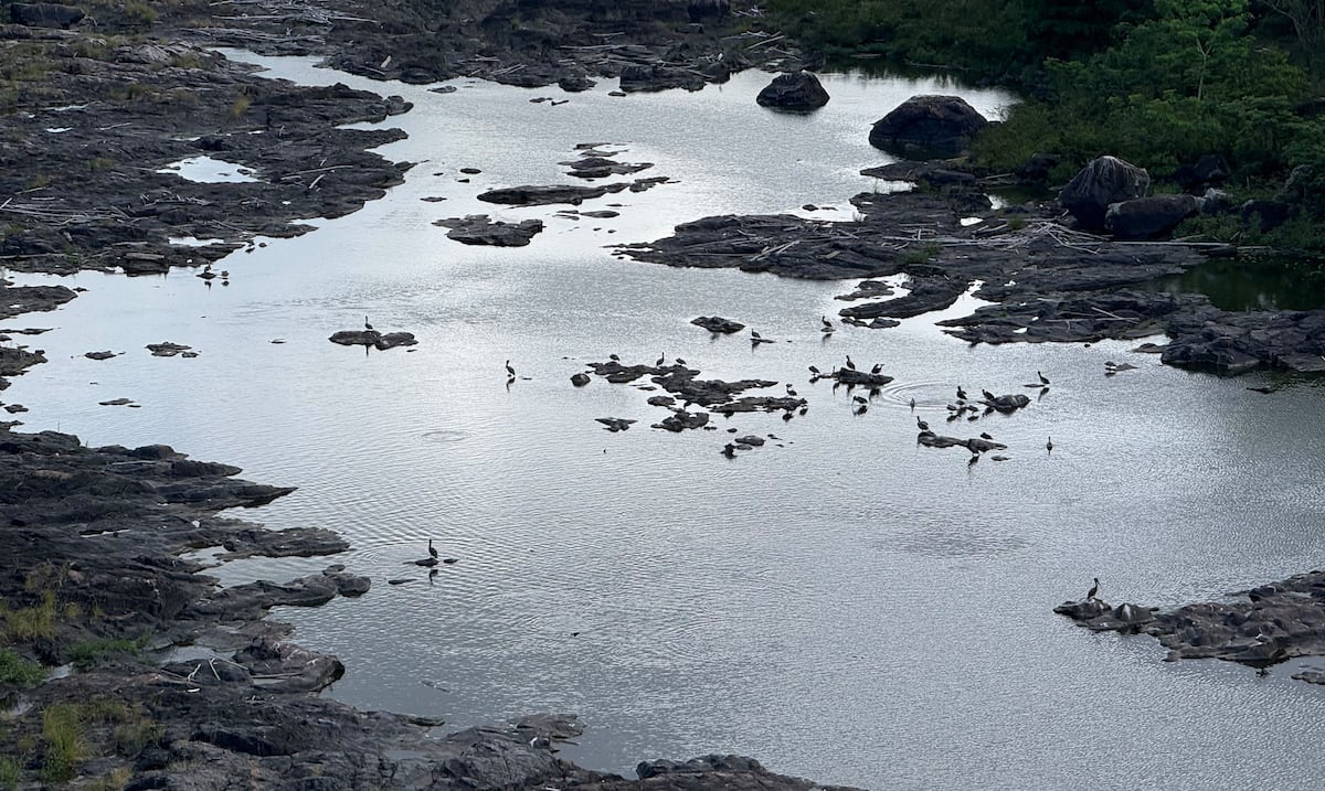 Embalse Carraízo sube por segundo día consecutivo, pero La Plata vuelve a bajar