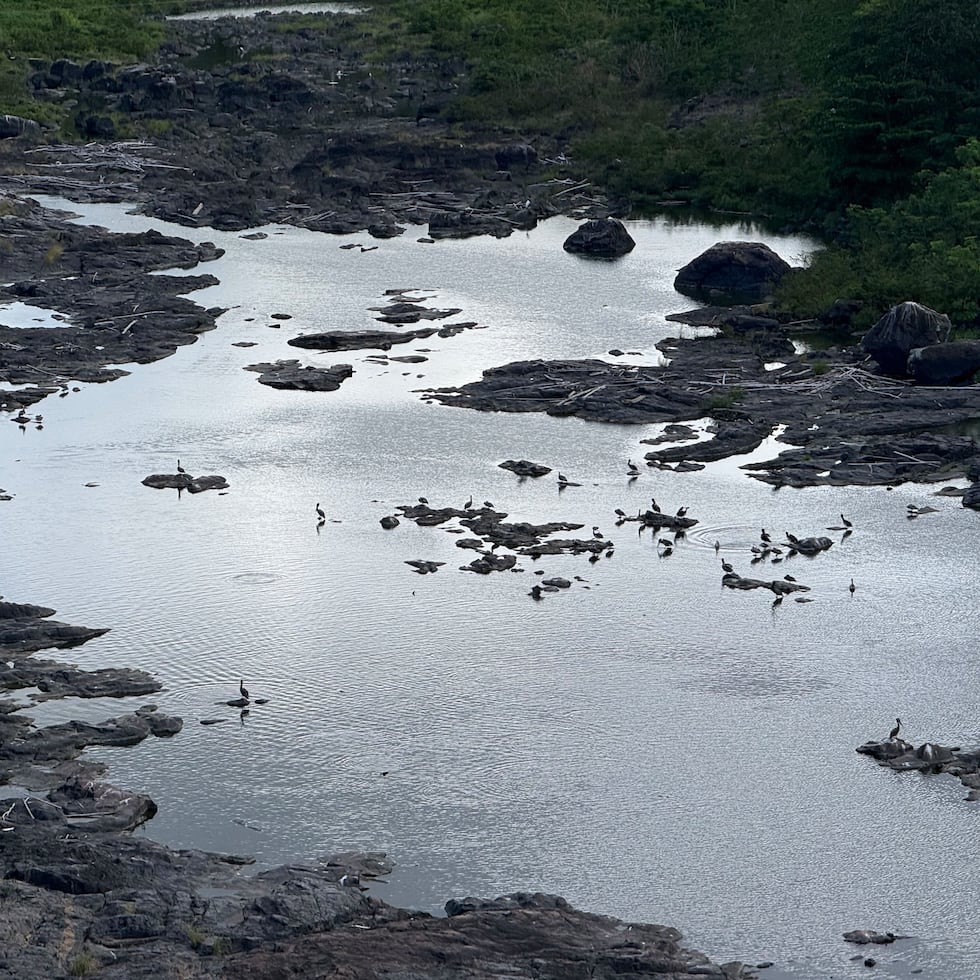 To return to the observation phase, Carraízo would have to reach at least 38.50 meters, so it still needs to receive, at least, another 71 centimeters of water.