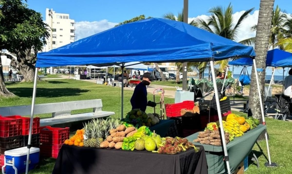 Cerca de 50 emprendedores participarán en el Agromercado Cultural del Último Trolley en San Juan