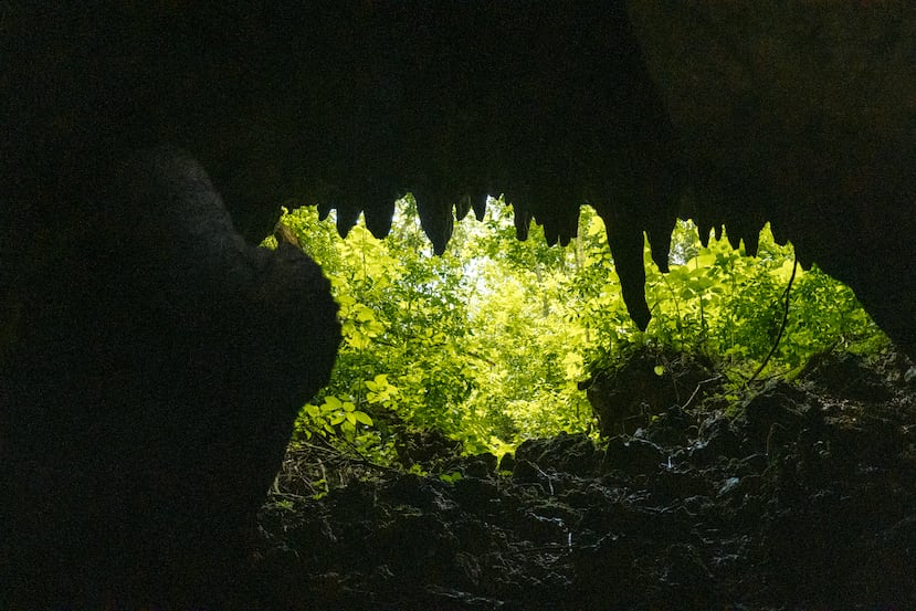 Looking back, the mouth of the cave resembles the jaws of the earth, just after engulfing the visitor and taking him into a scenario almost taken from the adventures of Alice in Wonderland.