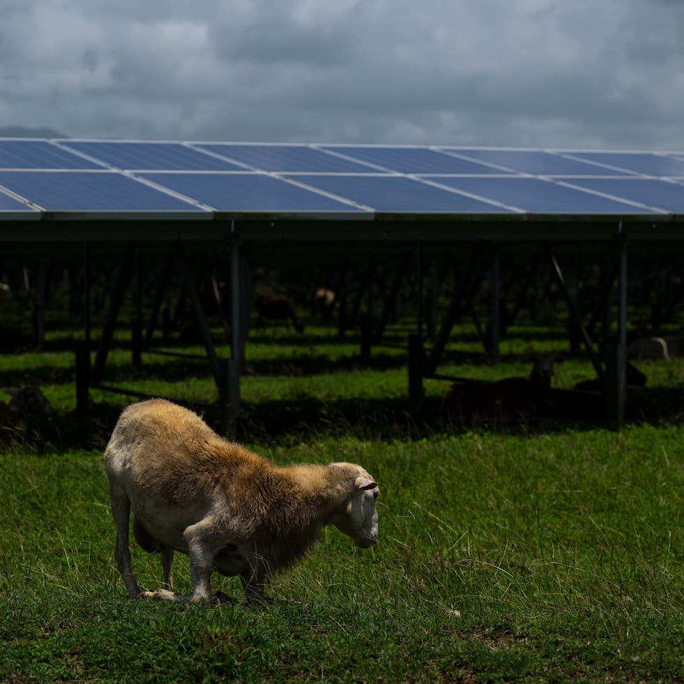 The project includes a 2.2-megawatt (MW) photovoltaic facility alongside approximately 10 acres of farmland.