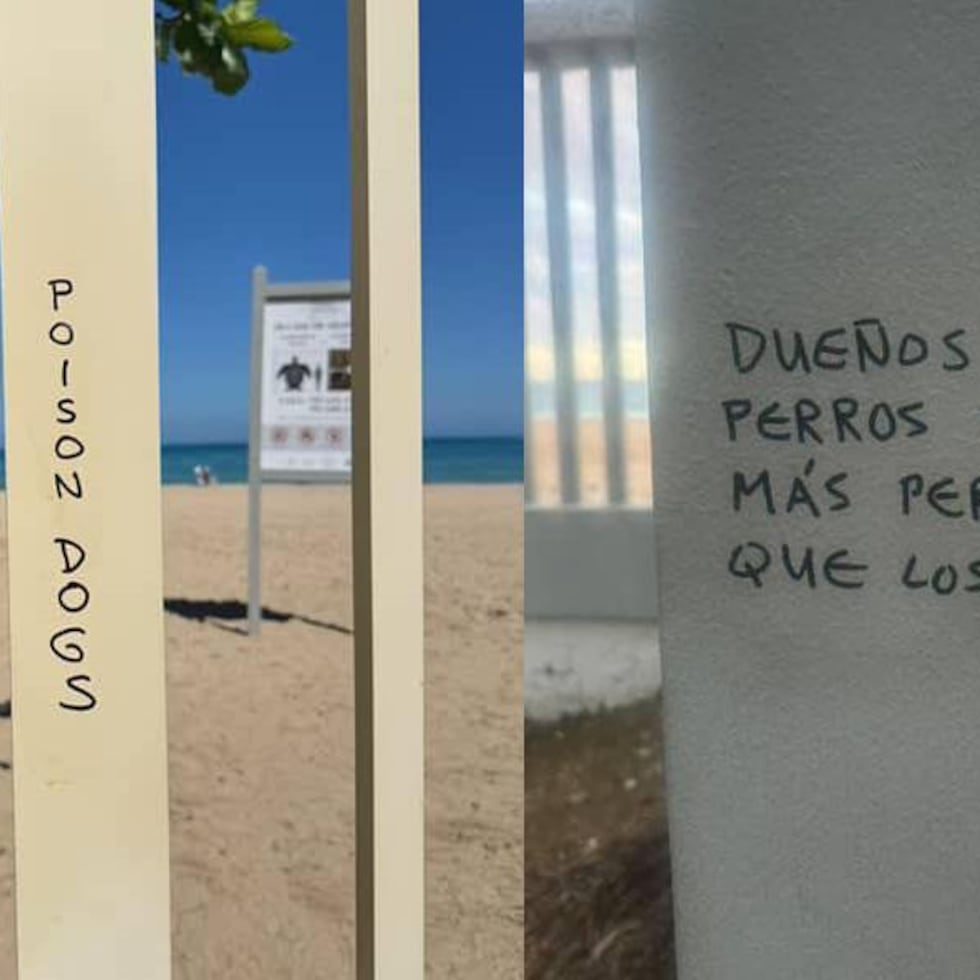 Como parte de la respuesta inmediata del Municipio de San Juan brigadas municipales acudieron al lugar para remover mensajes hostiles que fueron escritos en paredes del área.