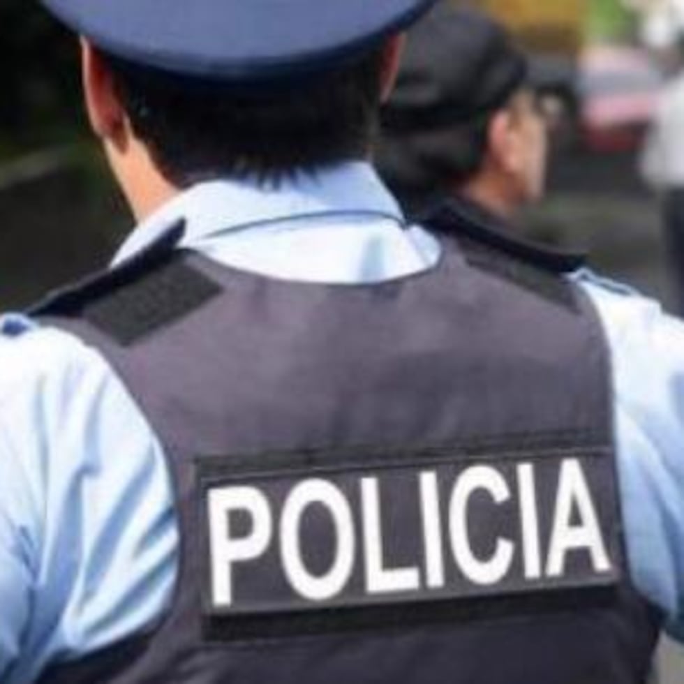 Los asaltantes irrumpieron en la vivienda con armas de fuego.