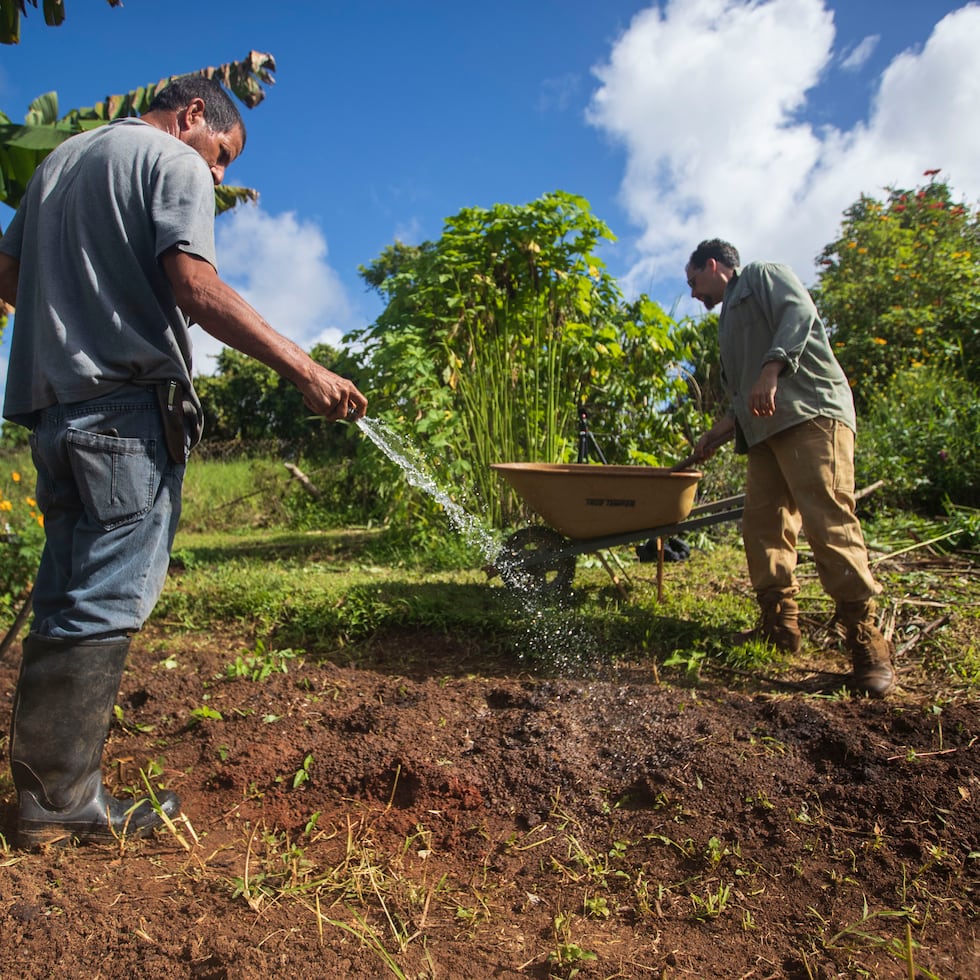 Los agricultores deberán solicitar los fondos, a más tardar, el próximo 19 de diciembre.