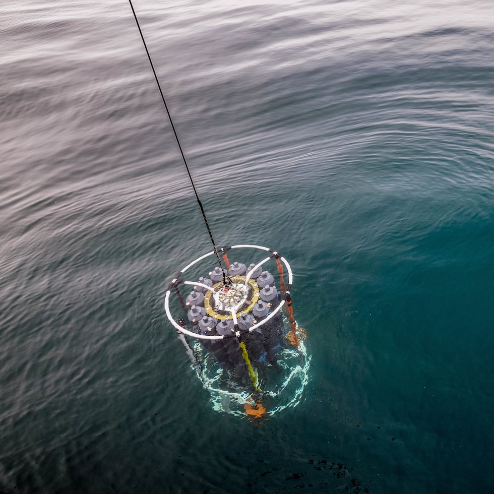 En la imagen, una roseta oceanográfica con CTD, que permite medir propiedades del agua de mar, como temperatura, salinidad y profundidad. Los investigadores utilizaron este instrumento durante las expediciones en el Pacífico. (Foto por Frank Xavier Ferrer González)