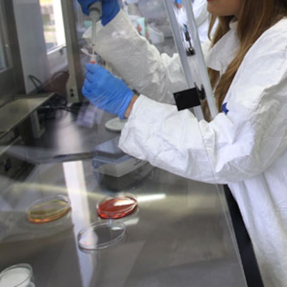 Puerto Rico posee condiciones excepcionales para continuar siendo un importante centro de investigación agrícola: nuestro clima, nuestra ubicación, la calidad de nuestras instituciones académicas y, sobre todo, el talento de los egresados de las universidades del país, afirma Gladysdel Díaz.