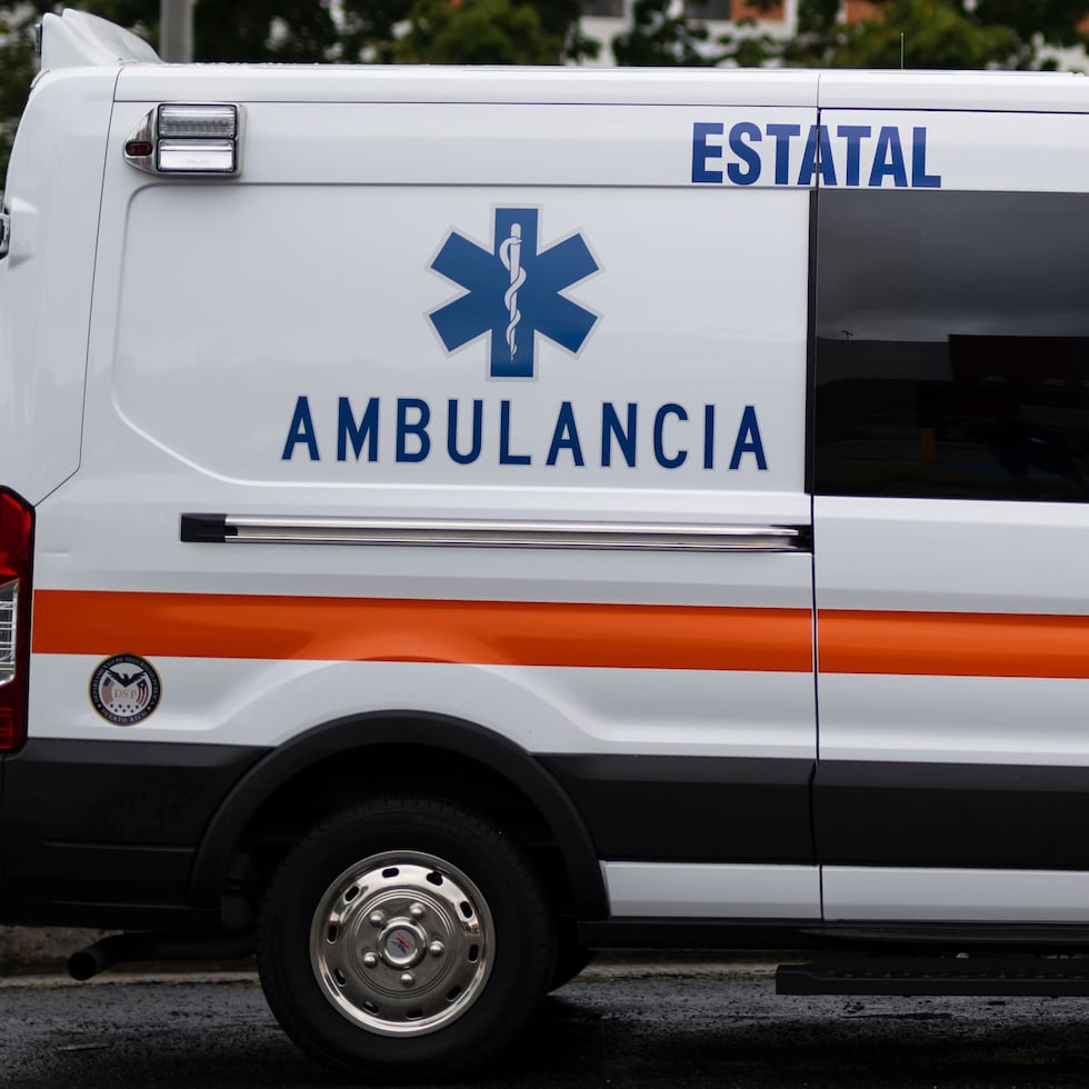 El doctor estableció que las heridas “son compatibles con una caída".