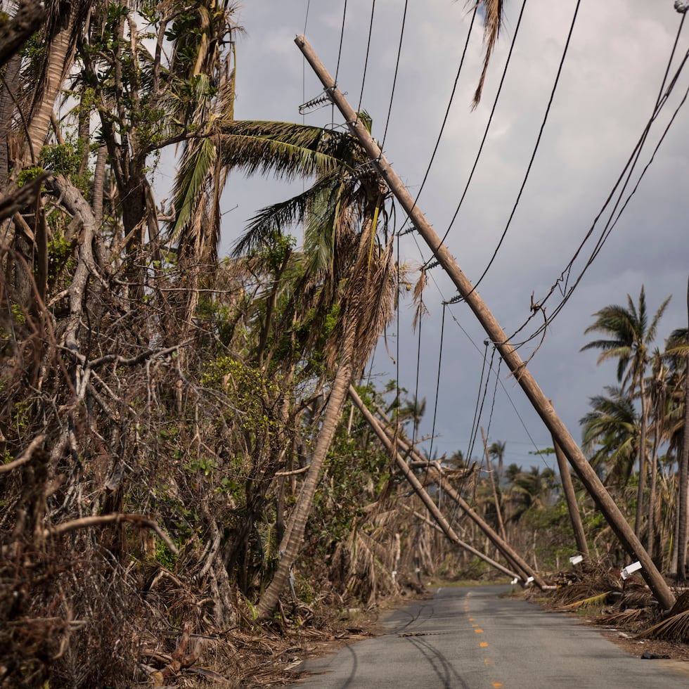 The government of Puerto Rico has until 2029 - 13 years after the catastrophe caused by Hurricane Maria - to complete the use of CDBG-DR funds.