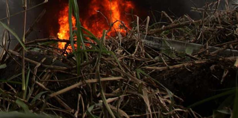El SNM no puede predecir dónde se formarán los incendios, pero sí advertir que existen las condiciones ambientales para el rápido desarrollo de incendios. (Archivo)