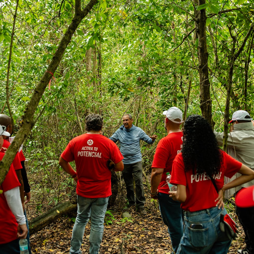 Texaco de Puerto Rico celebró una jornada de siembra de árboles en el Corredor del Yaguazo, ubicado en la Reserva Natural de Cucharillas, en Cataño.