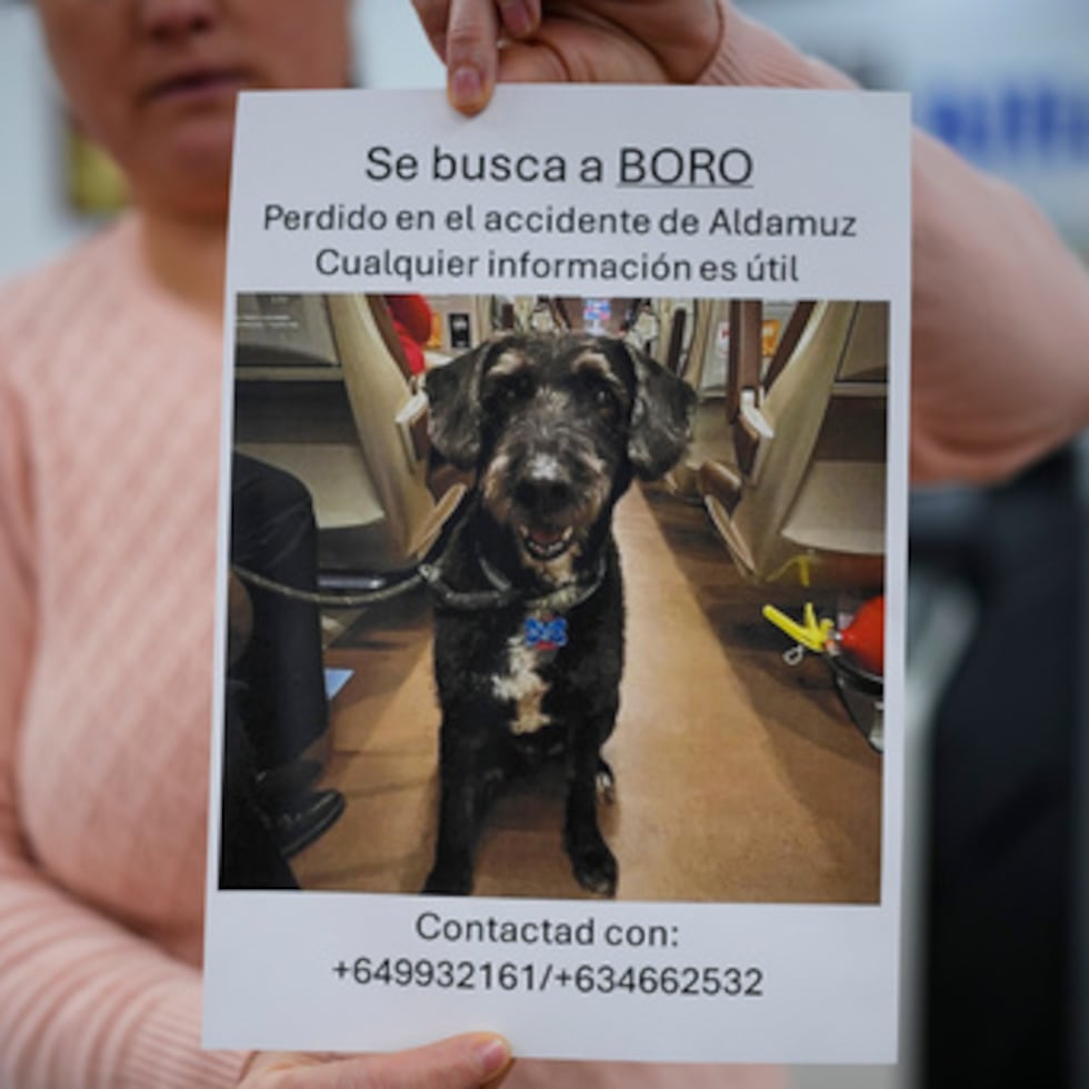 Una mujer sostiene un cartel en el que se lee en español: "Boro desaparecido. Perdido durante el accidente de Adamuz. Cualquier información es útil", sobre un perro que desapareció durante un accidente de tren en Adamuz, sur de España, miércoles 21 de enero de 2026. (AP Photo/Manu Fernandez)