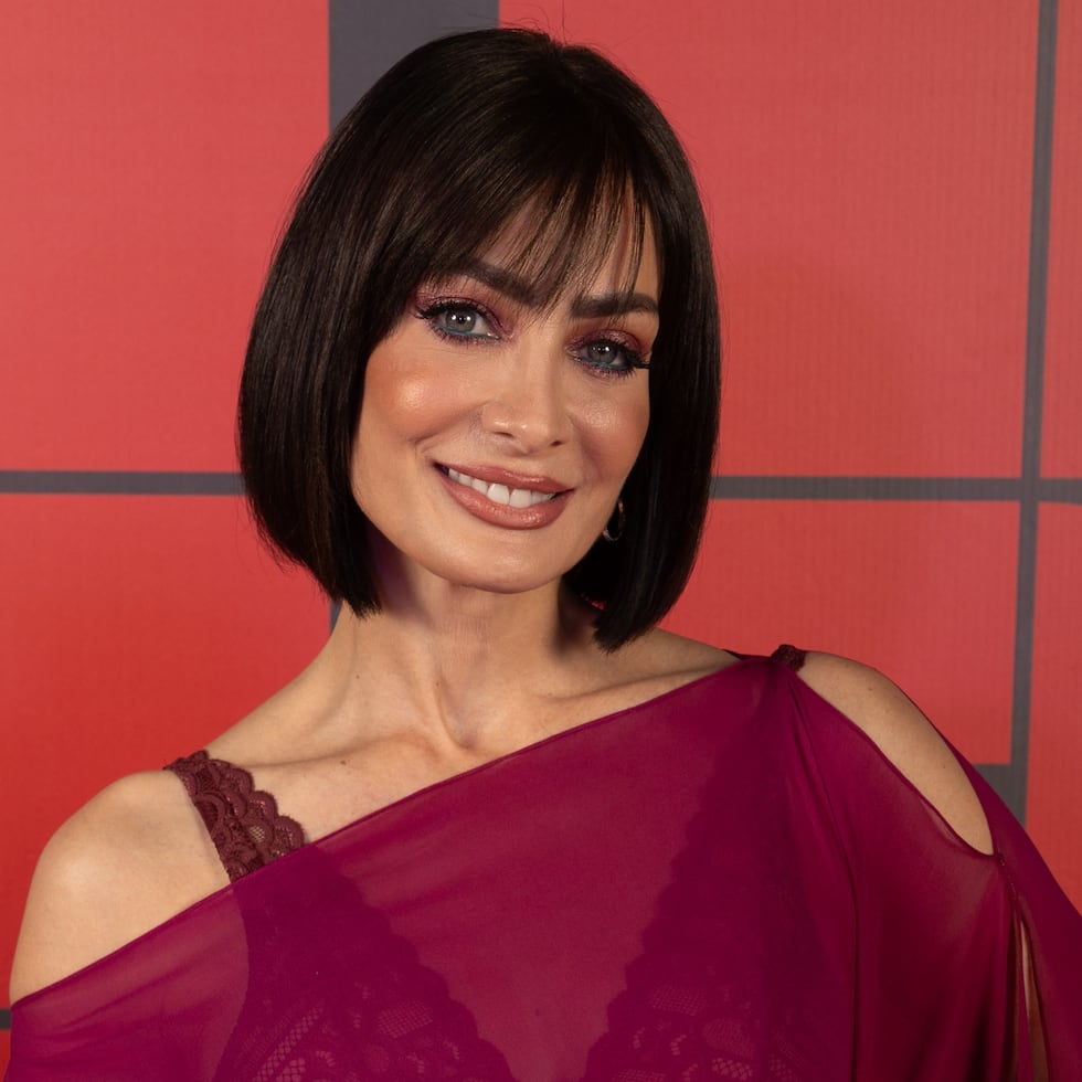 Dayanara Torres ostentó el título de Miss Universe en 1993.