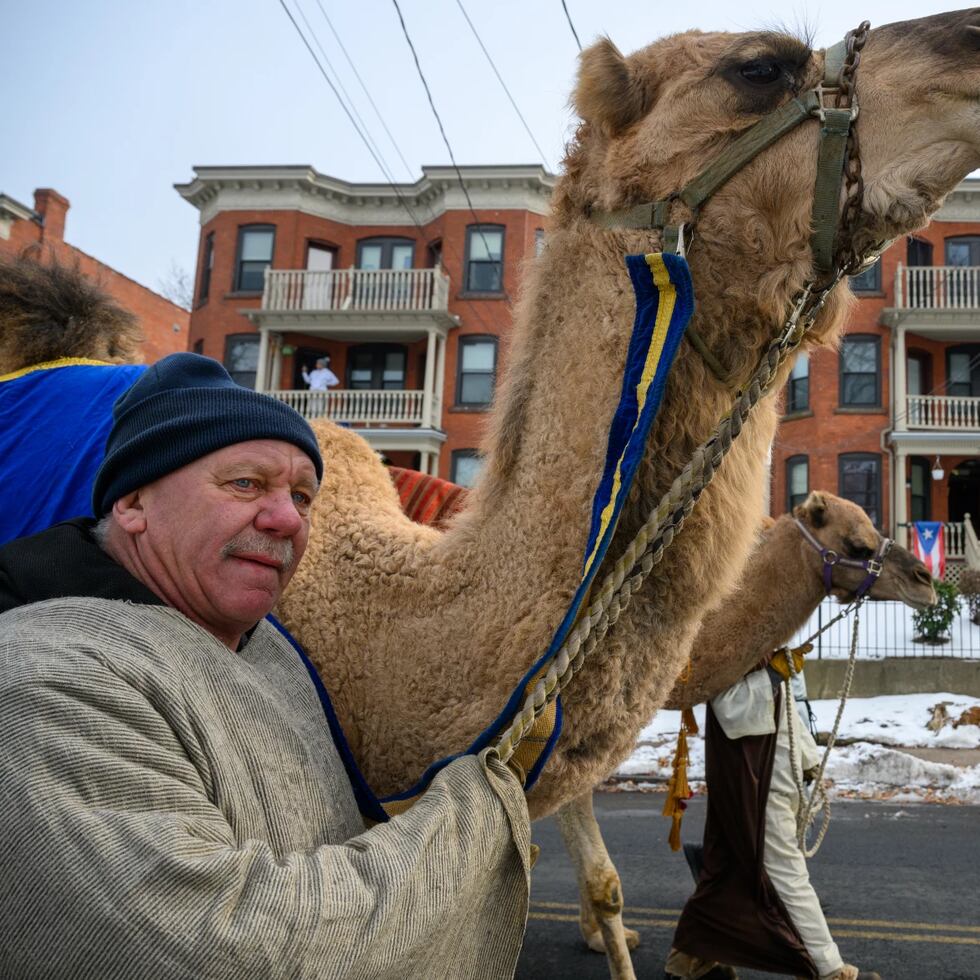 A camel led by Mark Dalke walks along Park Terrace on the way to Pope Park during Hartford’s Three Kings Day Parade. This year’s parade is sponsored by the Spanish American Merchants Association (SAMA) and the Catholic Charities Archdiocese of Hartford.