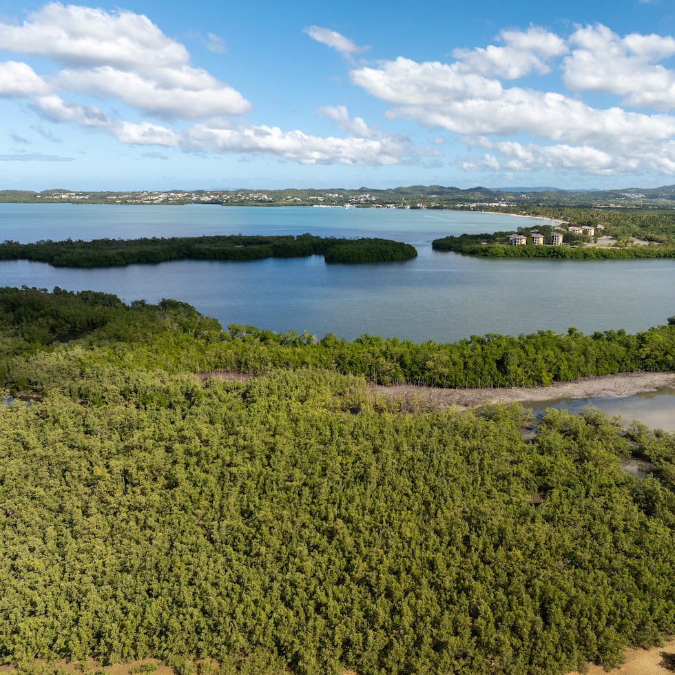 En la foto, una vista aérea de parte de la zona de Cabo Rojo que sería desarrollada con viviendas, hoteles, campos de golf y otras estructuras y carreteras como parte del proyecto Esencia.