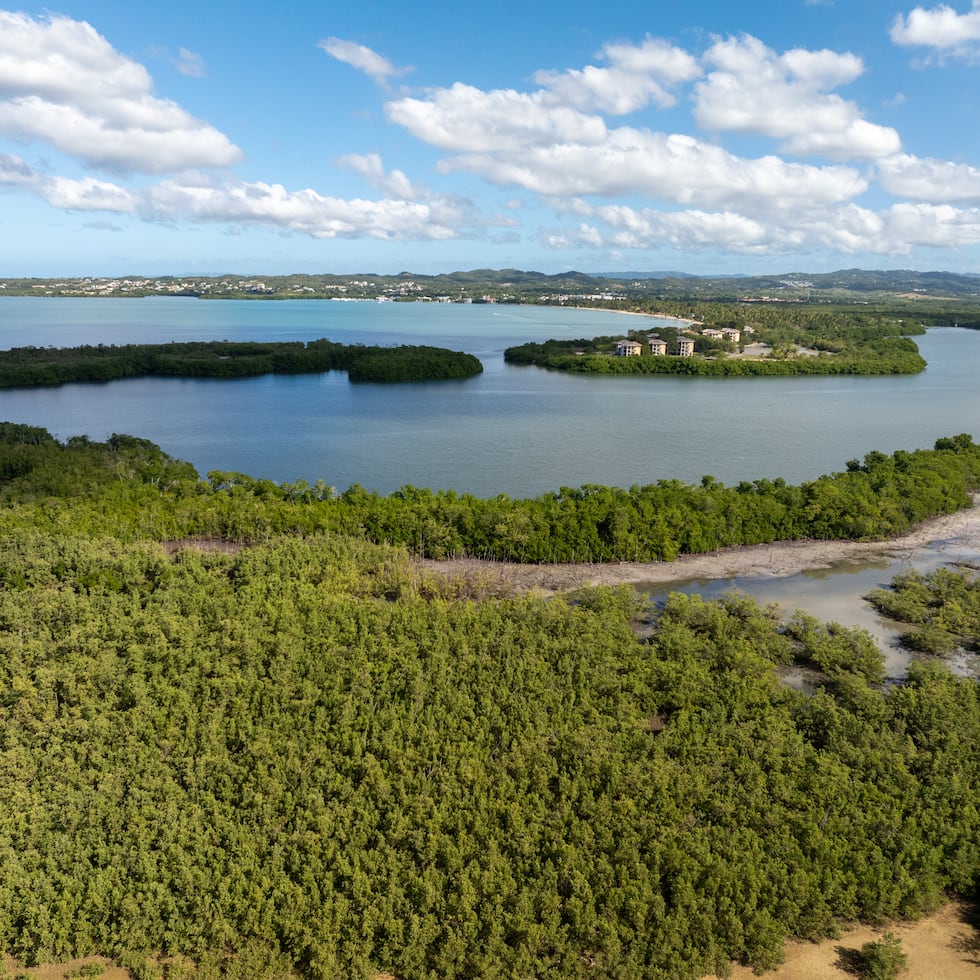 Los desarrolladores de Esencia han asegurado que la construcción no afectará los humedales, como los manglares costeros.