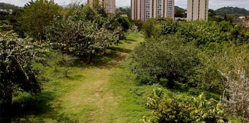 El Parque Doña Inés westá ubicado en los predios de la Fundación Luis Muñoz Marín, en la marginal del Expreso de Río Piedras a Trujillo Alto.  (Archivo)