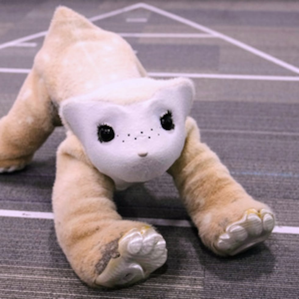 Familiar, un robot mascota AI, interactúa durante una demostración en la startup con sede en Massachusetts.