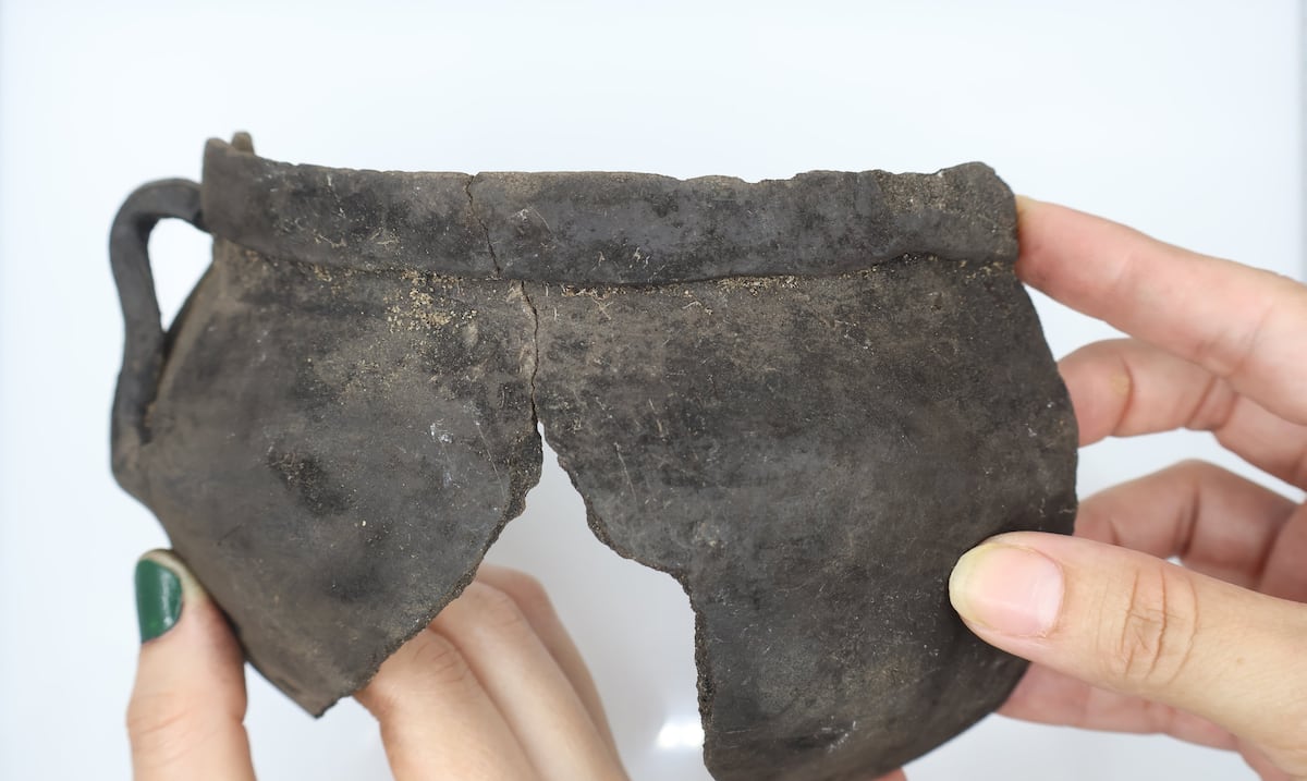 Hallazgo arqueológico en Loíza podría evidenciar la integración temprana entre africanos, indígenas y españoles