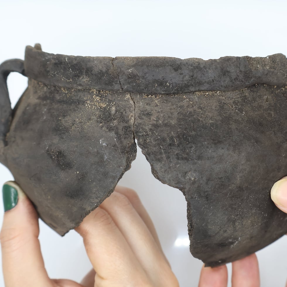 The research team, led by archaeologist Federico Freytes, was in charge of the excavation and will proceed with the study of the artifacts found.