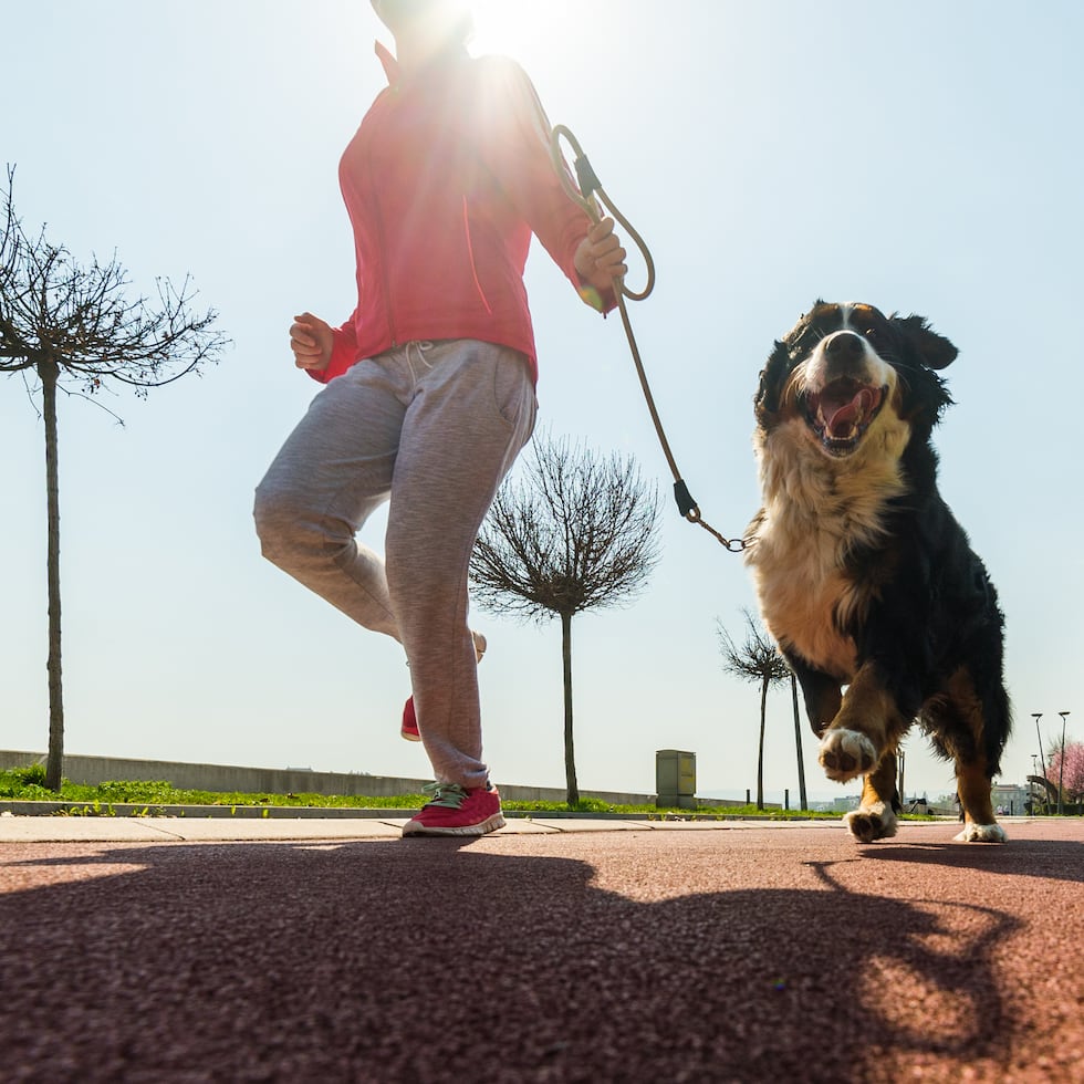 El caso ocurrió en el barrio Los Llanos.