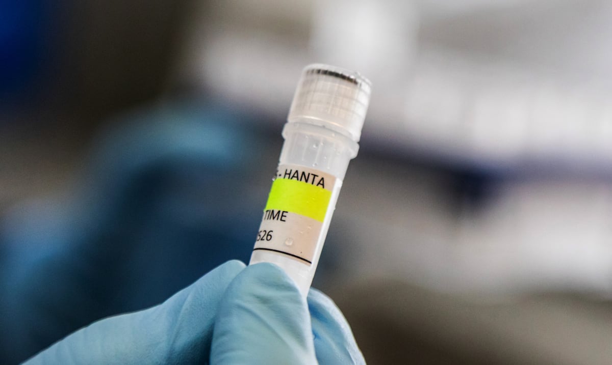 “Esto no es COVID-19”: instan a puertorriqueños a mantener la calma ante brote de hantavirus en un crucero