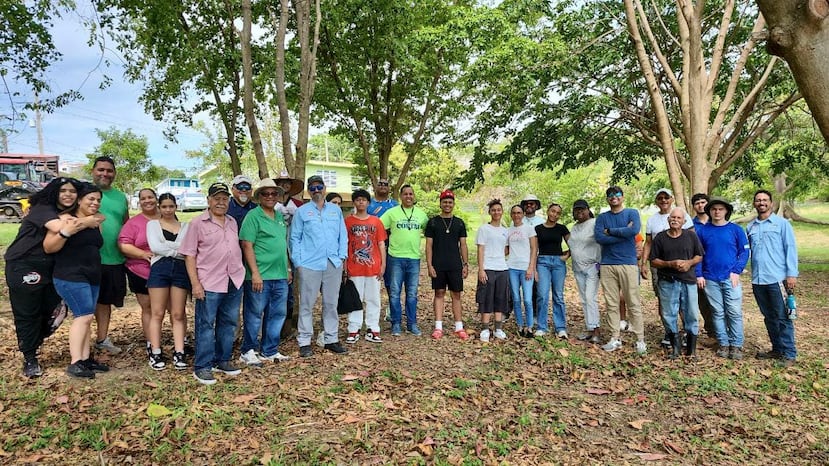 Al evento de reforestación, asistieron más de 50 voluntarios.