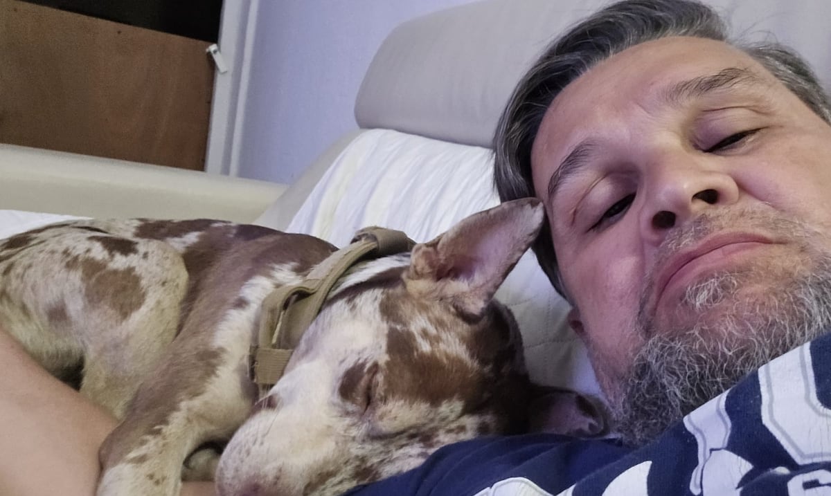 Pistacho evita la eutanasia: albergue y varios interesados buscan asumir su cuidado