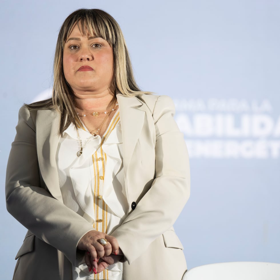La secretaria de la Vivienda, Ciary Pérez Peña, figuró como propietaria del centro de inspección en controversia hasta diciembre pasado.