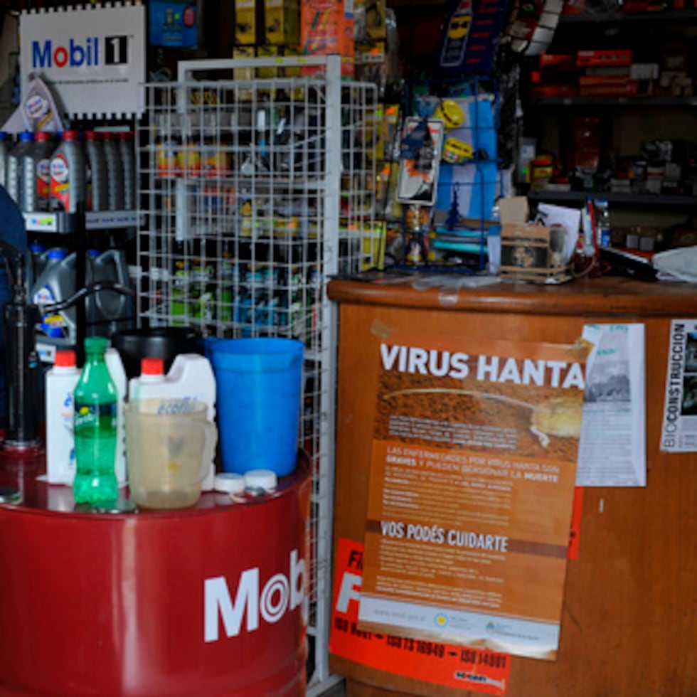 El hantavirus se propaga principalmente por contacto con roedores o con su orina, saliva o excrementos, sobre todo cuando el material se altera y se transmite por el aire, con el consiguiente riesgo de inhalación.