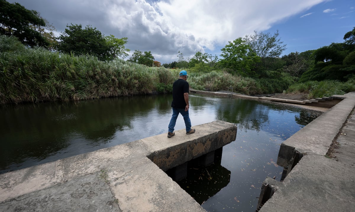 Salud autoriza apertura de bombas 3 y 4 en Planta de Filtros de Canóvanas para restablecer agua