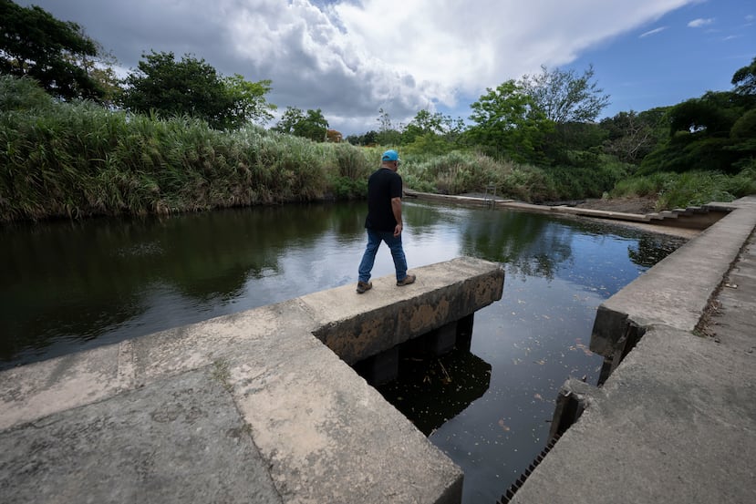 La AAA confirmó que la sustancia observada en la estación de bombas de Loíza Valley es aceite y grasa.