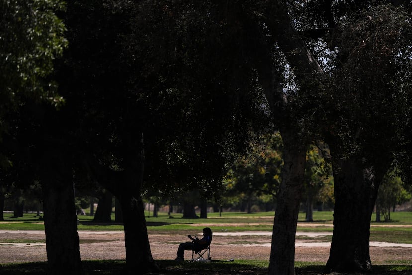 Una persona se sienta a la sombra de los árboles en un parque casi vacío de Los Ángeles, el viernes 31 de julio de 2026. (Foto AP/Jae C. Hong)