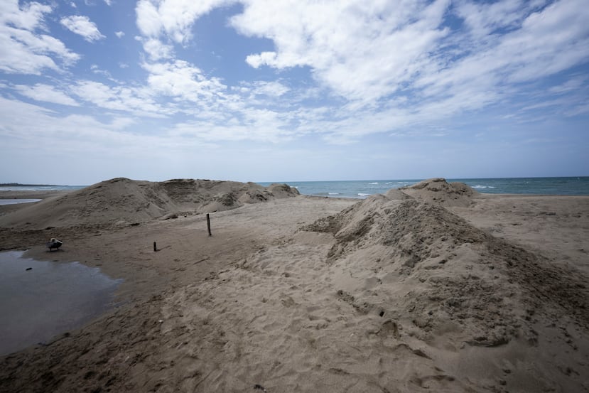 Área que debe ser despejada para que los manatíes puedan reingresar al mar.