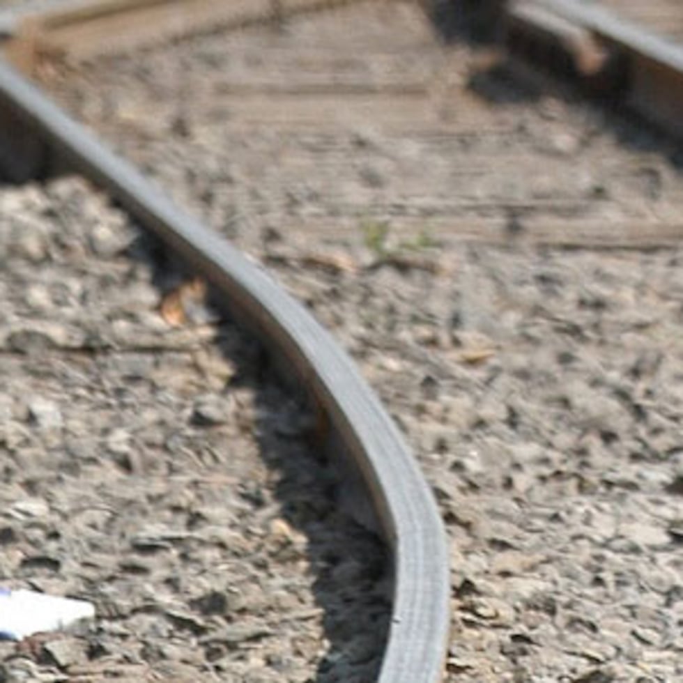 El resto de los pasajeros de la formación salieron por sus propios medios.