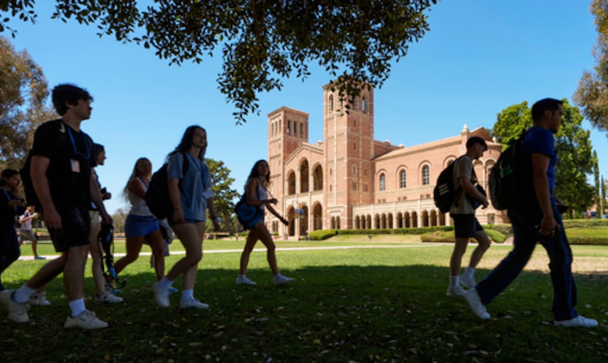 “Las universidades son más selectivas”: el reto de querer estudiar en Estados Unidos