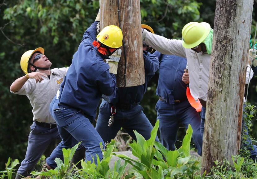 La AEE trabaja en la zona afectada. (Archivo / GFR Media)