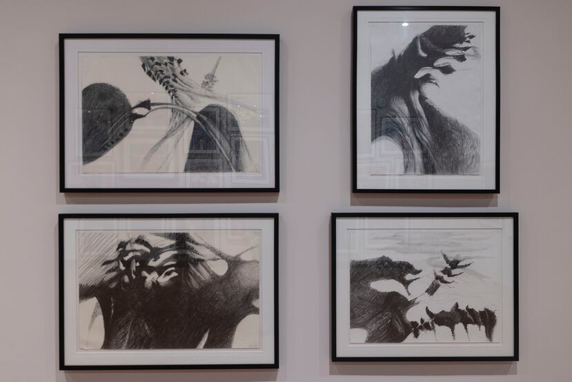 Carmelo Fontánez comenzó su carrera creando dibujos y acuarelas, siempre con el paisaje puertorriqueño presente.