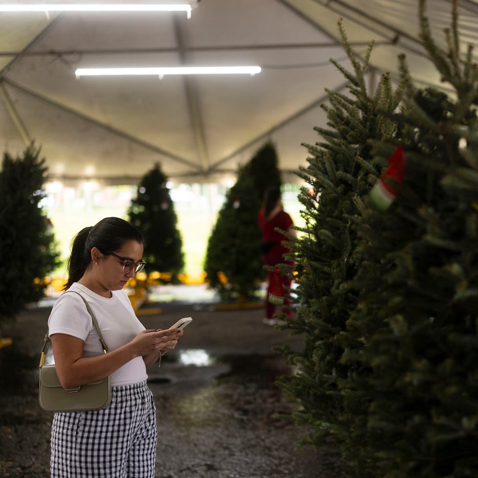 Aunque con menos fuerza, según entrevistados, la venta de árboles de navidad comenzó esta semana en dos de los lugares más conocidos dedicados a la venta del decorativo navideño. En la foto, una consumidora en Guaynabo City Chrismas Trees.