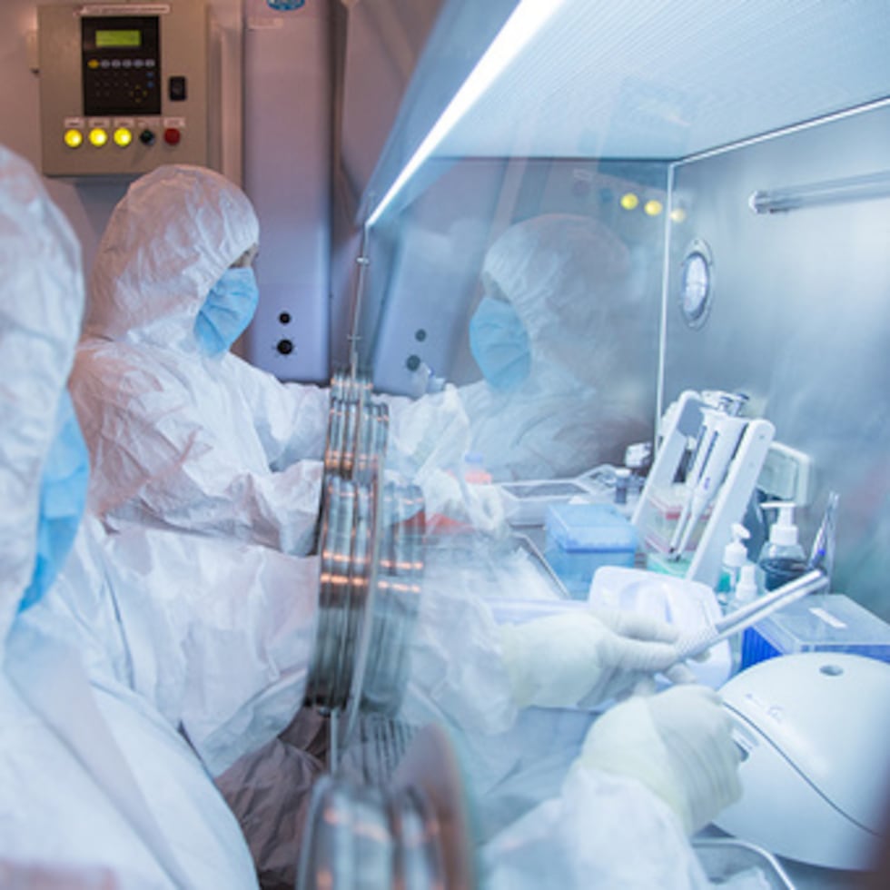 Esta foto sin fecha, publicada por el Instituto de Investigación contra la Peste de Irkutsk, en Siberia y el Lejano Oriente, muestra a los trabajadores del instituto en un laboratorio.
